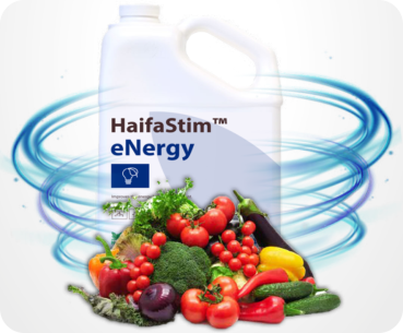 HaifaStim® eNergy - Aminosäuren